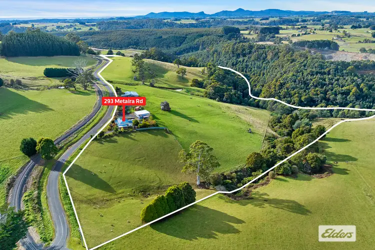 293 Metaira Road, Ridgley TAS 7321