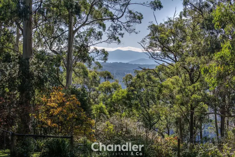 Third view of Homely house listing, 43 Grantulla Road, Kallista VIC 3791