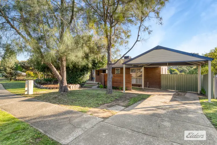 Main view of Homely house listing, 24 Zeinert Street, Wodonga VIC 3690