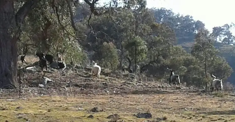 Sixth view of Homely rural property listing, LOT 12, 415 Bara Road, Mudgee NSW 2850