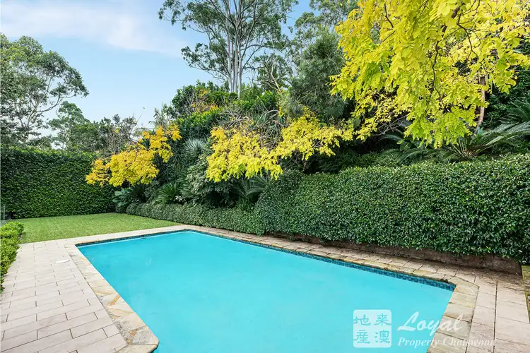 Sixth view of Homely house listing, 31 Pymble Avenue, Pymble NSW 2073