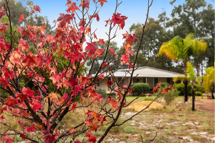 Sixth view of Homely house listing, 3428 Dandaragan Road, Dandaragan WA 6507