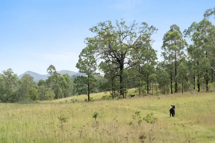 Fifth view of Homely rural property listing, 2325 Monkerai Road, Weismantels NSW 2415