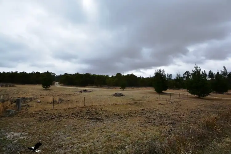 LOT 167 South Drive, Sugarloaf QLD 4380