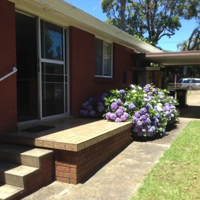 Fifth view of Homely house listing, 11 Northaven Avenue, Bawley Point NSW 2539
