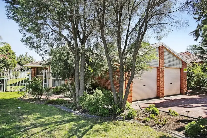 Main view of Homely house listing, 11 Molle Place, Narellan Vale NSW 2567