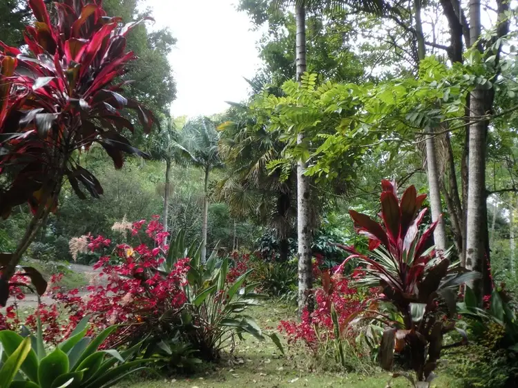Seventh view of Homely rural property listing, 43 Basil Road, Nimbin NSW 2480