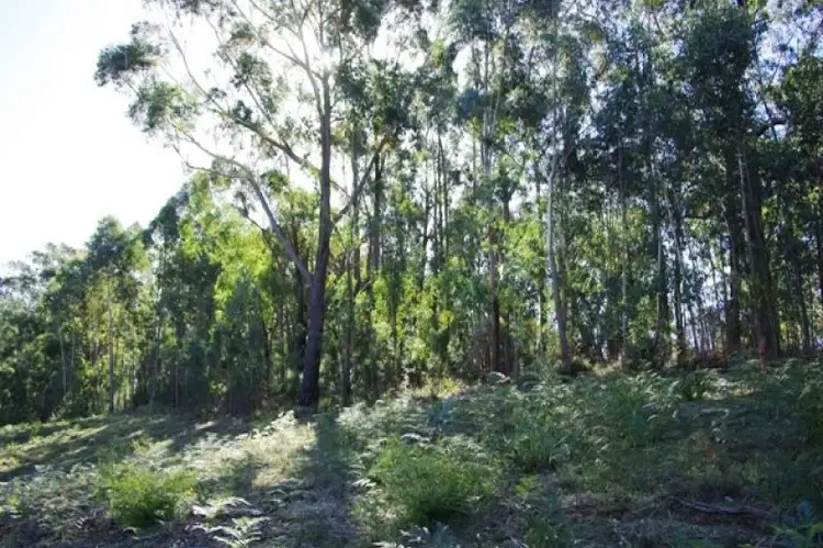 Third view of Homely rural property listing, LOT 35 Murrabrine Road, Yowrie NSW 2550