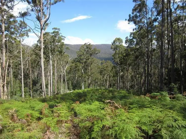 Sixth view of Homely land listing, LOT 2 Belchers Road, National Park TAS 7140