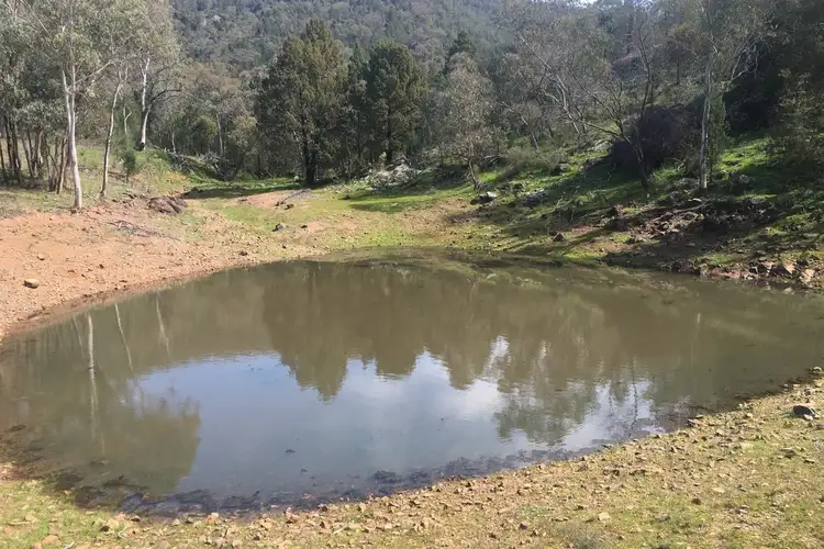 Second view of Homely rural property listing, 1778 Piallaway Road, Currabubula NSW 2342