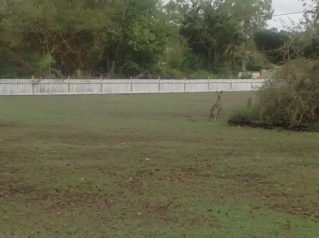 Sixth view of Homely land listing, 71 Emu Parade, Barmaryee QLD 4703