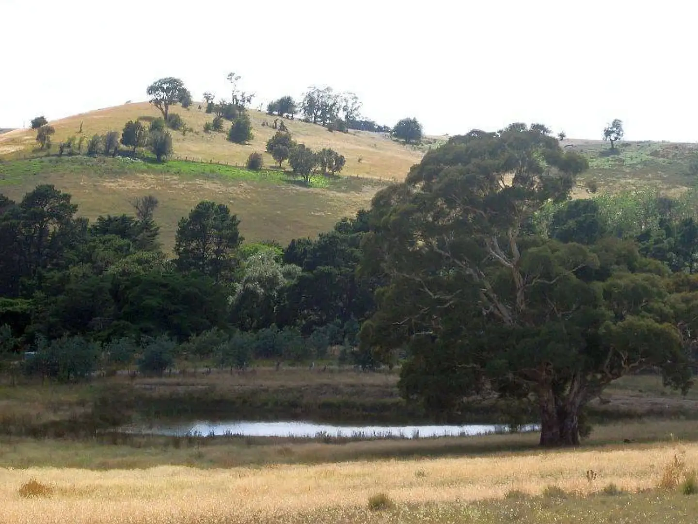 Main view of Homely land listing, 973 Woodhouselee Road, Roslyn NSW 2580