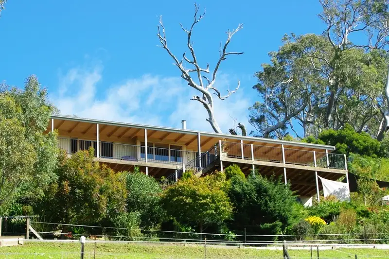 Main view of Homely rural property listing, 240 Quinlans Road, Cobargo NSW 2550