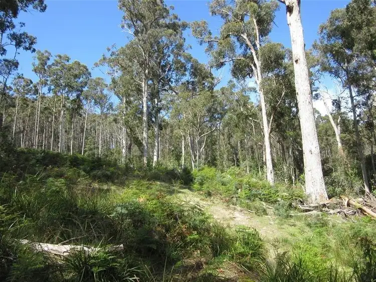 Fifth view of Homely land listing, LOT 2 Belchers Road, National Park TAS 7140