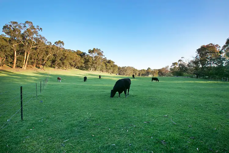 Third view of Homely rural property listing, 120 Shelton Road, Pakenham Upper VIC 3810