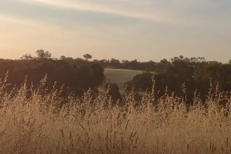 Sixth view of Homely land listing, 31 Levetts Road, Young NSW 2594