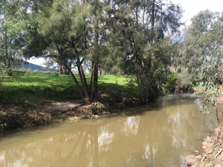Third view of Homely rural property listing, 1778 Piallaway Road, Currabubula NSW 2342