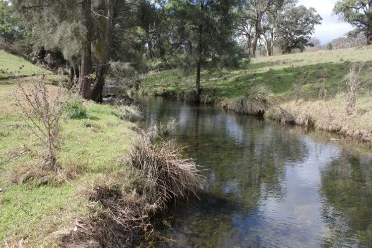Second view of Homely rural property listing, 4927 Halls Creek Road, Tamworth NSW 2340