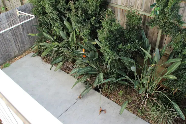 Fifth view of Homely unit listing, 17/72 Learoyd Road, Algester QLD 4115