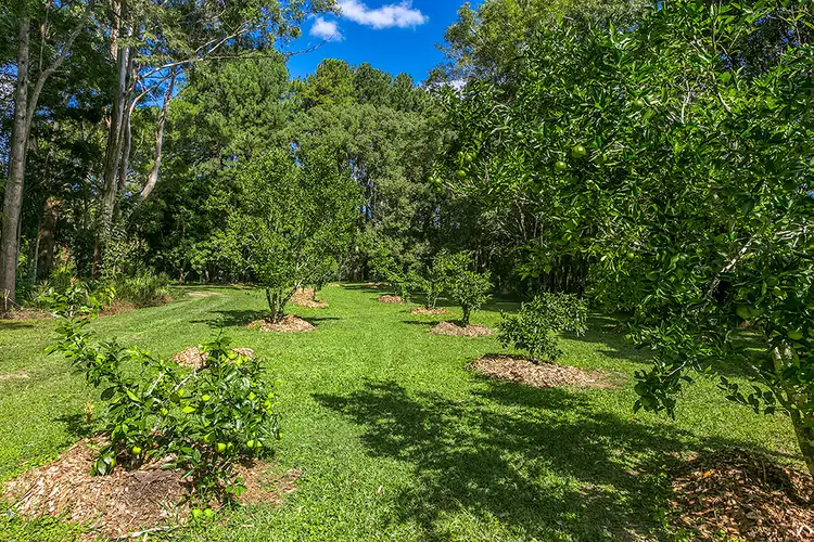 Second view of Homely house listing, 222 Main Arm Road, Mullumbimby NSW 2482
