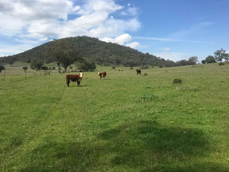 Fifth view of Homely rural property listing, 1778 Piallaway Road, Currabubula NSW 2342