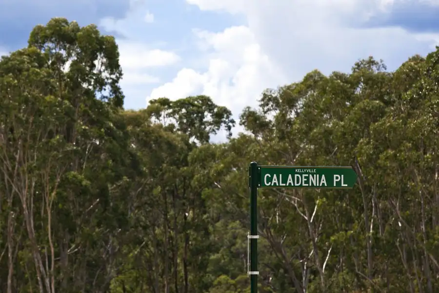 Main view of Homely land listing, 11 Caladenia Place, Kellyville NSW 2155
