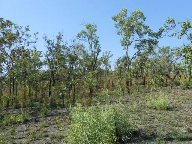 Third view of Homely land listing, 6710 Stuart Highway, Coomalie Creek NT 822