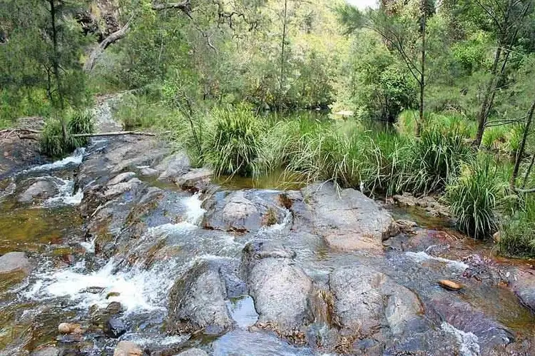 Fourth view of Homely rural property listing, Toorumbee Road, Moparrabah NSW 2440