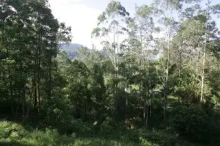 Fourth view of Homely rural property listing, 1073 Williams Road, Nimbin NSW 2480