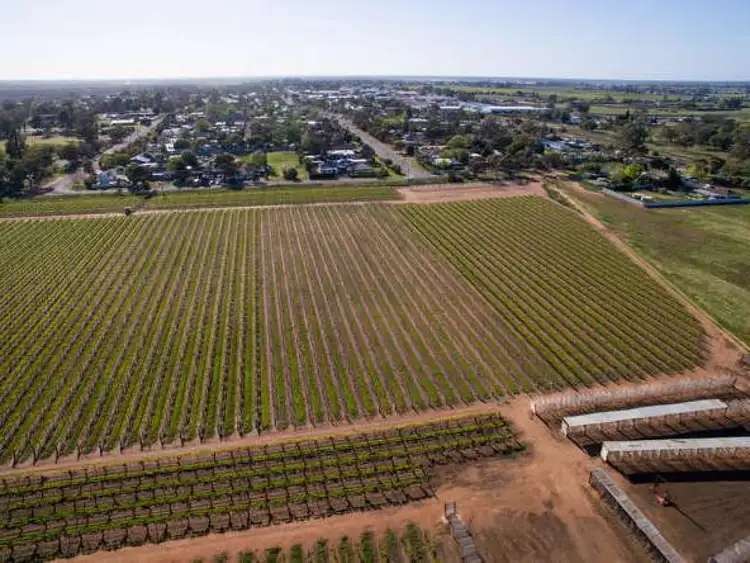 Second view of Homely rural property listing, 67 Quandong Avenue, Merbein VIC 3505