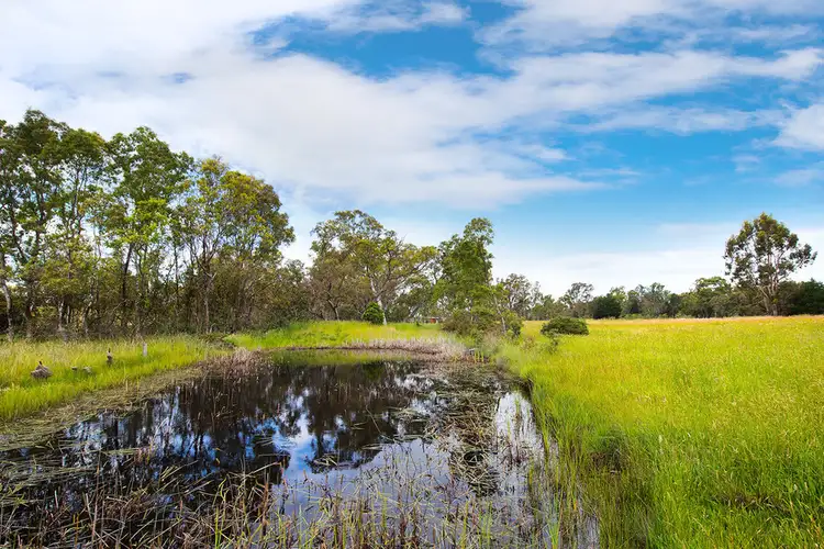 Fourth view of Homely rural property listing, 159 Bendigo - Sutton Grange Road, Elphinstone VIC 3448