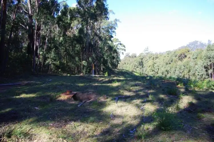 Fourth view of Homely rural property listing, LOT 35 Murrabrine Road, Yowrie NSW 2550