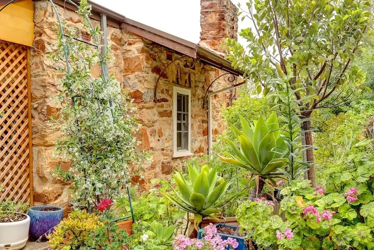 Main view of Homely house listing, 3 Pine Grove, Belair SA 5052