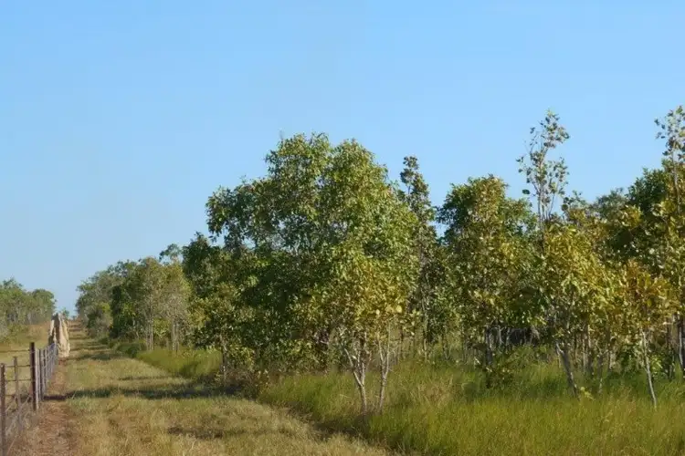 Fifth view of Homely land listing, Address available on request