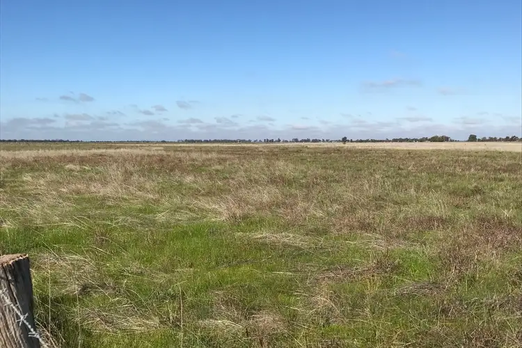 Third view of Homely rural property listing, 764 McKenzie Road, Echuca VIC 3564