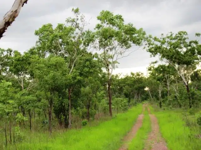 Seventh view of Homely rural property listing, LOT 6 Parkin Road, Fly Creek NT 822