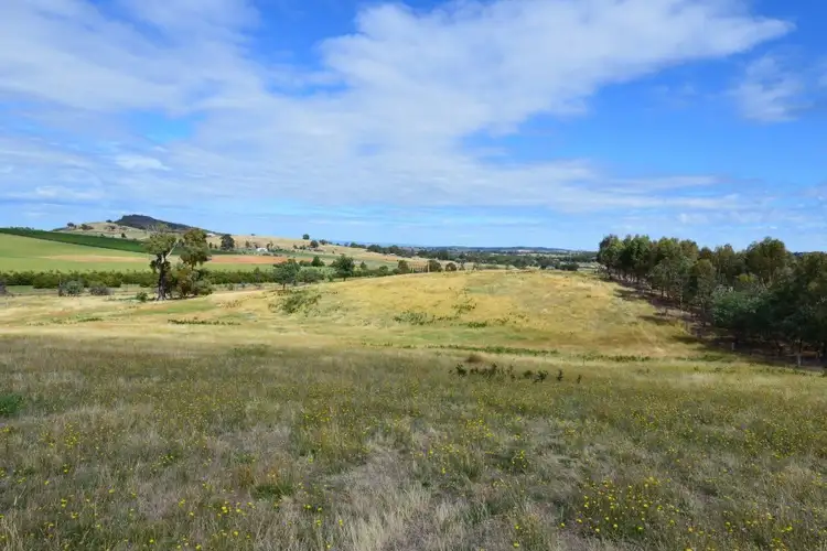 Fifth view of Homely rural property listing, 13 & 2010 Fighting Gully Road, Beechworth VIC 3747