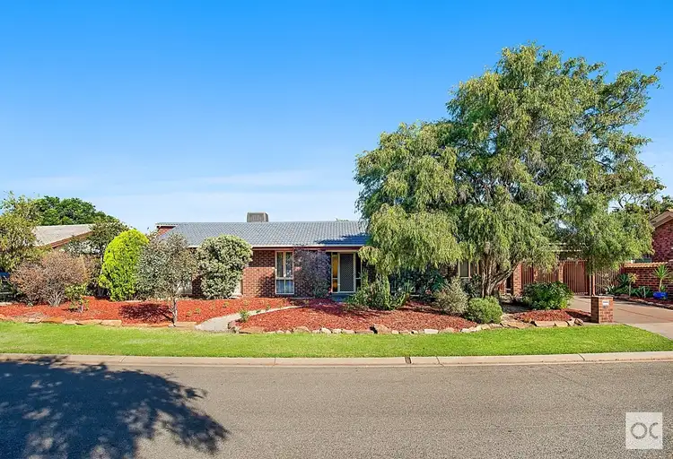 Main view of Homely house listing, 8 Georgia Avenue, Grange SA 5022