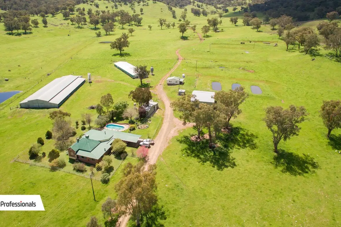 Main view of Homely rural property listing, 39 Ogunbil Road, Dungowan NSW 2340