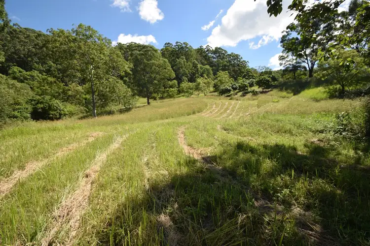 Third view of Homely rural property listing, 315 Warby Road, Jiggi NSW 2480