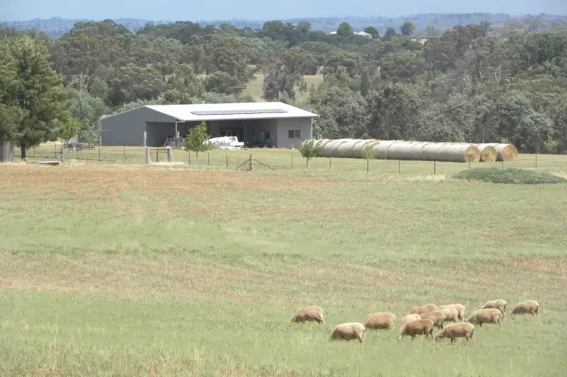 Main view of Homely rural property listing, 42 Woodlands Road Road, Young NSW 2594