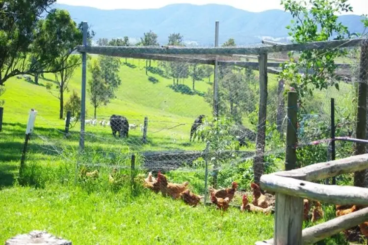 Third view of Homely rural property listing, 121 Gillespie's Road, Cobargo NSW 2550