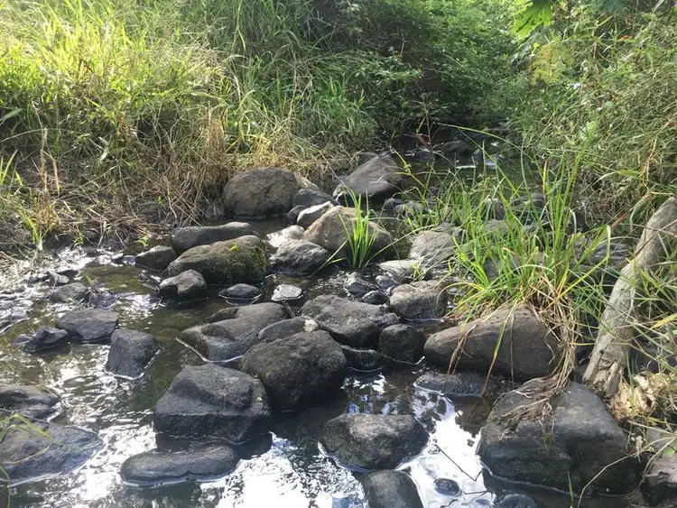 Sixth view of Homely rural property listing, 91 Cullen Road, Nimbin NSW 2480