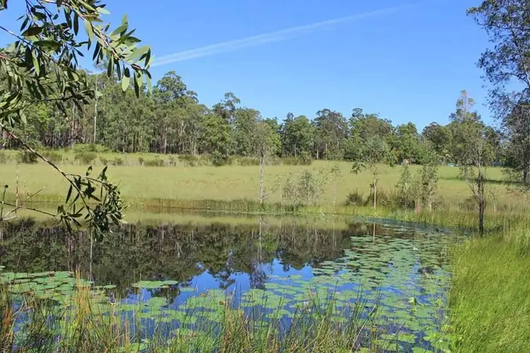 Second view of Homely rural property listing, 403 Battersons Lane, Collombatti NSW 2440