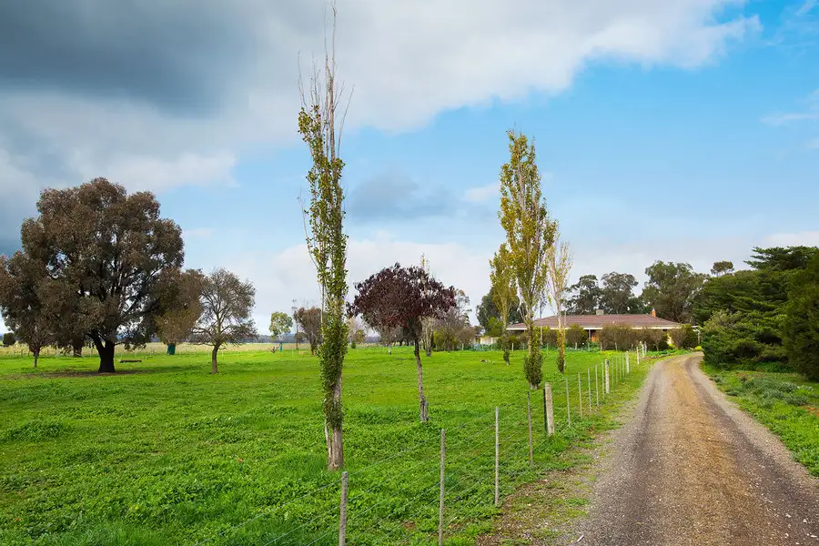 Main view of Homely rural property listing, 3161 Pyrenees Highway, Newstead VIC 3462