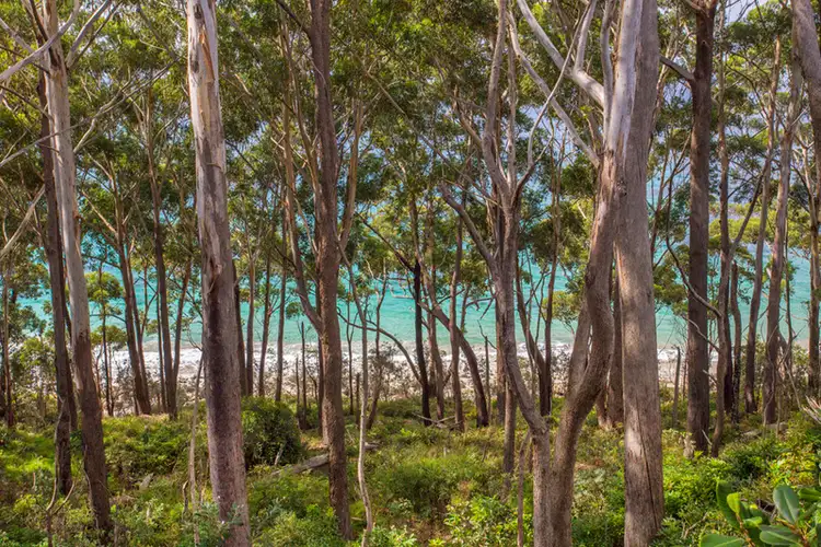 Main view of Homely house listing, 32 Bannister Head Road, Mollymook Beach NSW 2539