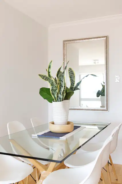 Fourth view of Homely unit listing, 14/40 Boronia Street, Dee Why NSW 2099