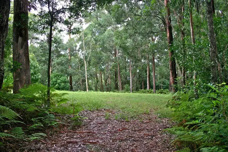 271 Tullouch Road, Berry NSW 2535