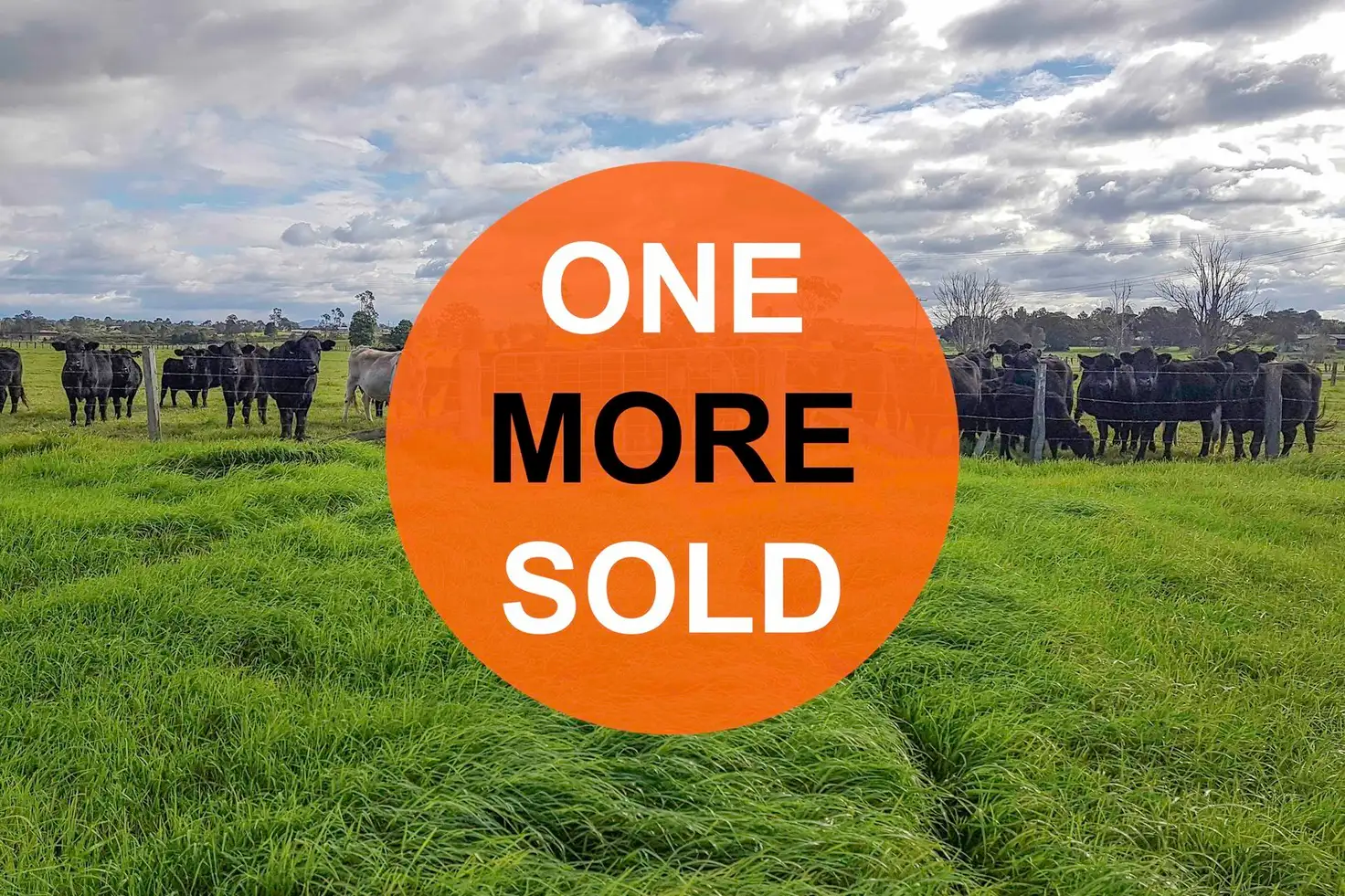 Main view of Homely rural property listing, LOT 84 Second Lane, Kempsey NSW 2440