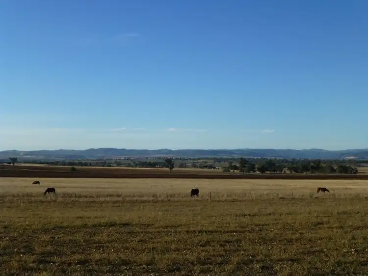 Third view of Homely rural property listing, 228 Jenners Lane, Winton NSW 2344